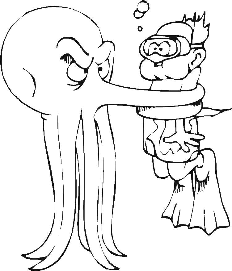 chobotnice.jpg