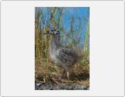 Kliknut�m zobraz�te fotogalerie v origin�ln� velikosti