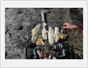 Kliknut�m zobraz�te fotogalerie v origin�ln� velikosti