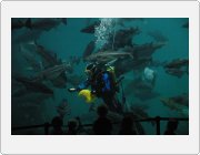 Kliknut�m zobraz�te fotogalerie v origin�ln� velikosti