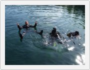 Kliknut�m zobraz�te fotogalerie v origin�ln� velikosti