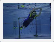 Kliknut�m zobraz�te fotogalerie v origin�ln� velikosti