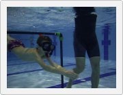 Kliknut�m zobraz�te fotogalerie v origin�ln� velikosti