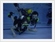 Kliknut�m zobraz�te fotogalerie v origin�ln� velikosti