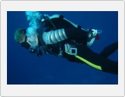Kliknutm zobrazte fotogalerie v originln velikosti
