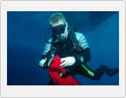 Kliknutm zobrazte fotogalerie v originln velikosti