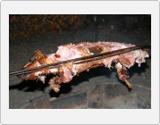 Kliknut�m zobraz�te fotogalerie v origin�ln� velikosti