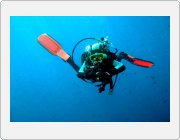 Kliknut�m zobraz�te fotogalerie v origin�ln� velikosti