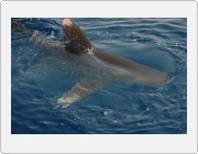 Kliknut�m zobraz�te fotogalerie v origin�ln� velikosti