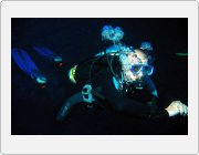 Kliknut�m zobraz�te fotogalerie v origin�ln� velikosti