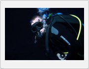 Kliknut�m zobraz�te fotogalerie v origin�ln� velikosti