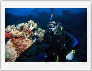 Kliknut�m zobraz�te fotogalerie v origin�ln� velikosti