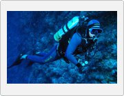 Kliknut�m zobraz�te fotogalerie v origin�ln� velikosti