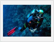 Kliknut�m zobraz�te fotogalerie v origin�ln� velikosti