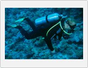 Kliknut�m zobraz�te fotogalerie v origin�ln� velikosti