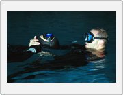 Kliknutm zobrazte fotogalerie v originln velikosti