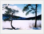 Kliknutm zobrazte fotogalerie v originln velikosti