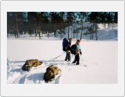 Kliknutm zobrazte fotogalerie v originln velikosti