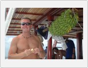Kliknut�m zobraz�te fotogalerie v origin�ln� velikosti