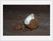 Kliknut�m zobraz�te fotogalerie v origin�ln� velikosti