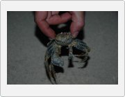 Kliknut�m zobraz�te fotogalerie v origin�ln� velikosti