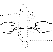 23.gif 23.gif