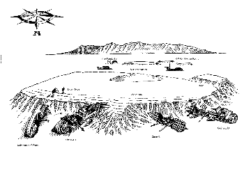 shaab_abu_nuhas.gif shaab_abu_nuhas.gif